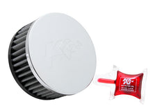 Load image into Gallery viewer, Photo - Primary