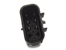 Load image into Gallery viewer, Photo - Close Up