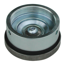 Load image into Gallery viewer, Photo - Primary