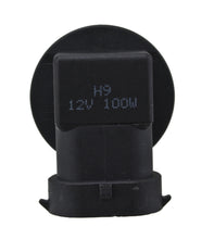 Load image into Gallery viewer, Photo - Close Up