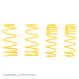 ST Muscle Car Springs Chevrolet Camaro Nova / Pontiac Firebird / Omega Ventura