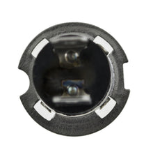 Load image into Gallery viewer, Photo - Close Up