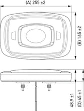 Load image into Gallery viewer, Photo - Primary