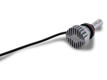 Load image into Gallery viewer, Photo - Close Up