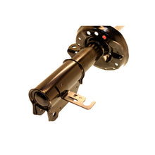 Load image into Gallery viewer, Photo - out of package