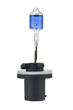 Load image into Gallery viewer, Photo - Unmounted