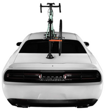 Load image into Gallery viewer, User 1