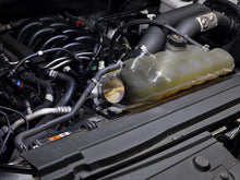 Load image into Gallery viewer, Photo - Mounted