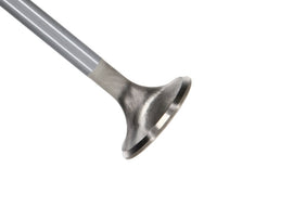 Manley Ford Modular Coyote 5.0L Gen III Race Master Series Intake Valve - 1.485in Dia