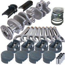 Load image into Gallery viewer, Photo - Primary