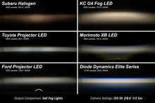 Load image into Gallery viewer, Diode Dynamics 22-24 Subaru WRX Elite Series Type Y LED Fog Lamps - Cool White