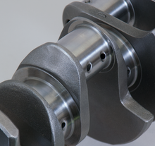 Load image into Gallery viewer, Photo - Close Up