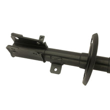 Load image into Gallery viewer, Photo - out of package