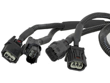 Load image into Gallery viewer, Photo - Close Up