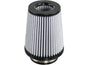 AFE21-91057.jpg