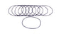 Filter O-Rings (10)