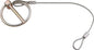 ALL18462.jpg