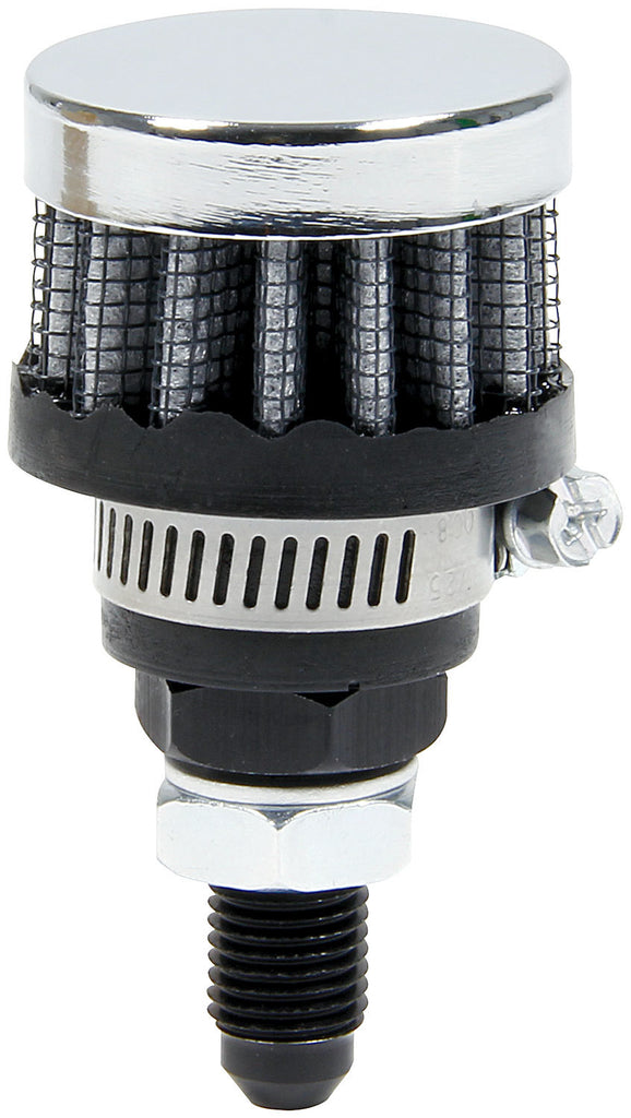 ALL36145.jpg