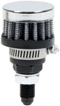 ALL36145.jpg