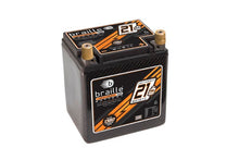 Load image into Gallery viewer, Racing Battery Carbon 21lbs 1380 PCA