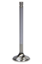 Load image into Gallery viewer, FERF1811P-1.jpg