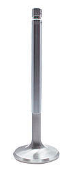 FERF2101P-1.jpg