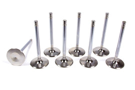 SBF H/P 2.020in Intake Valves
