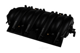 GMP12686561.jpg