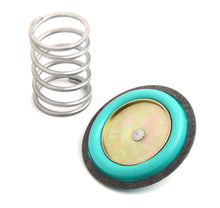 Load image into Gallery viewer, HLY12-824.jpg