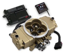 Terminator™ EFI 4bbl Throttle Body Fuel Injection Stealth