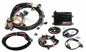 HLY550-602.jpg