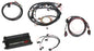 Dominator EFI Kit - LS2 Main Harness w/  DBW with EV1 Injector Harnesses