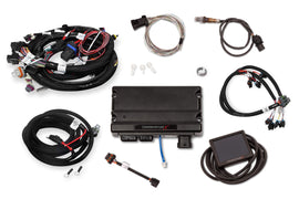 HLY550-904.jpg