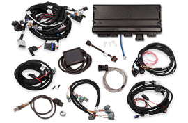 HLY550-928.jpg