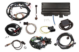 HLY550-943.jpg