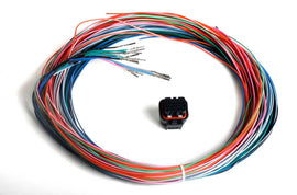 HLY558-402.jpg