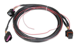 HLY558-406.jpg