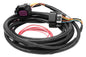 HLY558-429.jpg