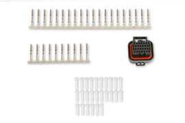 HLY570-346.jpg