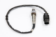 Load image into Gallery viewer, Haltech Wideband Sensor only - Bosch LSU 4.9 with Factory Connector