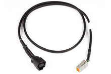 Load image into Gallery viewer, Haltech LSU4.9 Wideband adaptor harness - LSU4.9 to DTM6