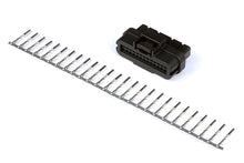 Load image into Gallery viewer, Haltech Plug and Pins Only AMP 26 Pin 2 Row Superseal Connector
