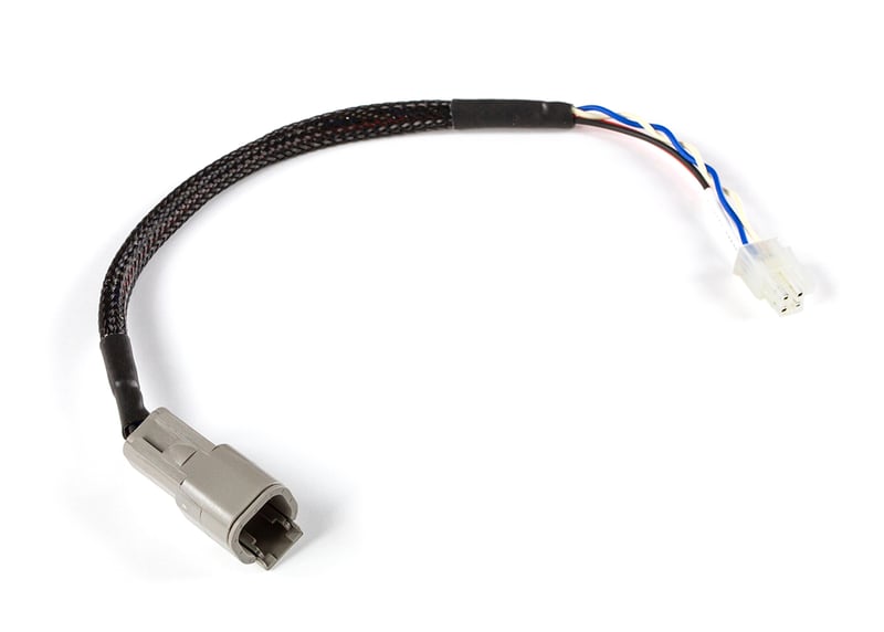 Haltech CAN Adaptor Loom (DTM-4 to Minifit Jr) - Suits Microtech