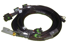 Load image into Gallery viewer, Haltech 8 channel High Output Ignition Coil Harness Only GM/Chrysler