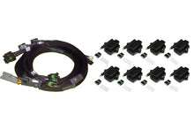 Load image into Gallery viewer, Haltech 8 channel Hi Output Ignition Coil &amp; Harness Kit GM/Chrysler