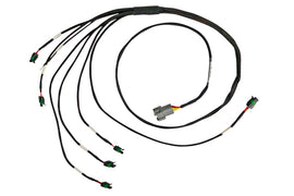 Haltech Elite 2000/2500 Universal I6 Cylinder IGN-1A Ign Harn only