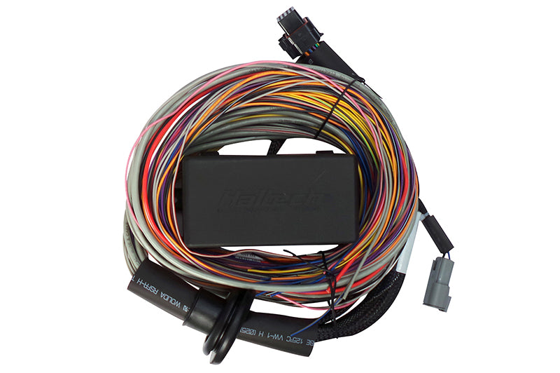 Haltech Elite 550 / 750 Premium Universal Wire-in Harness 2.5m (8) Length: 2.5m (8)