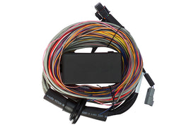 Haltech Elite 550 / 750 Premium Universal Wire-in Harness 2.5m (8) Length: 2.5m (8)