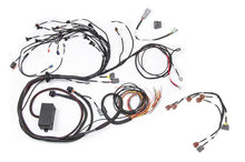 Load image into Gallery viewer, Haltech RB Twin CAM Main Harness, CAS Breakout, Early Ignition