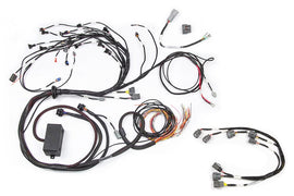 Haltech RB Twin CAM Main Harness, CAS Breakout, Late Ignition